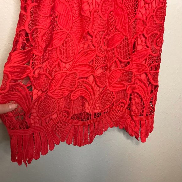 Lovers + Friends Red Valentine Caspian Shift Dress - Picture 4 of 12